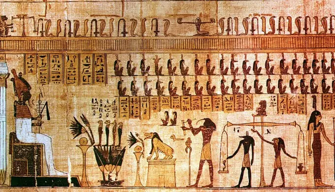 papyrus-ricin